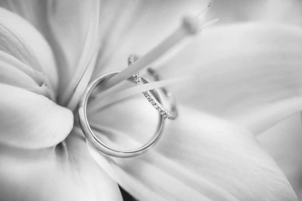 Ring Shots: Using the Flowers in Mexico City